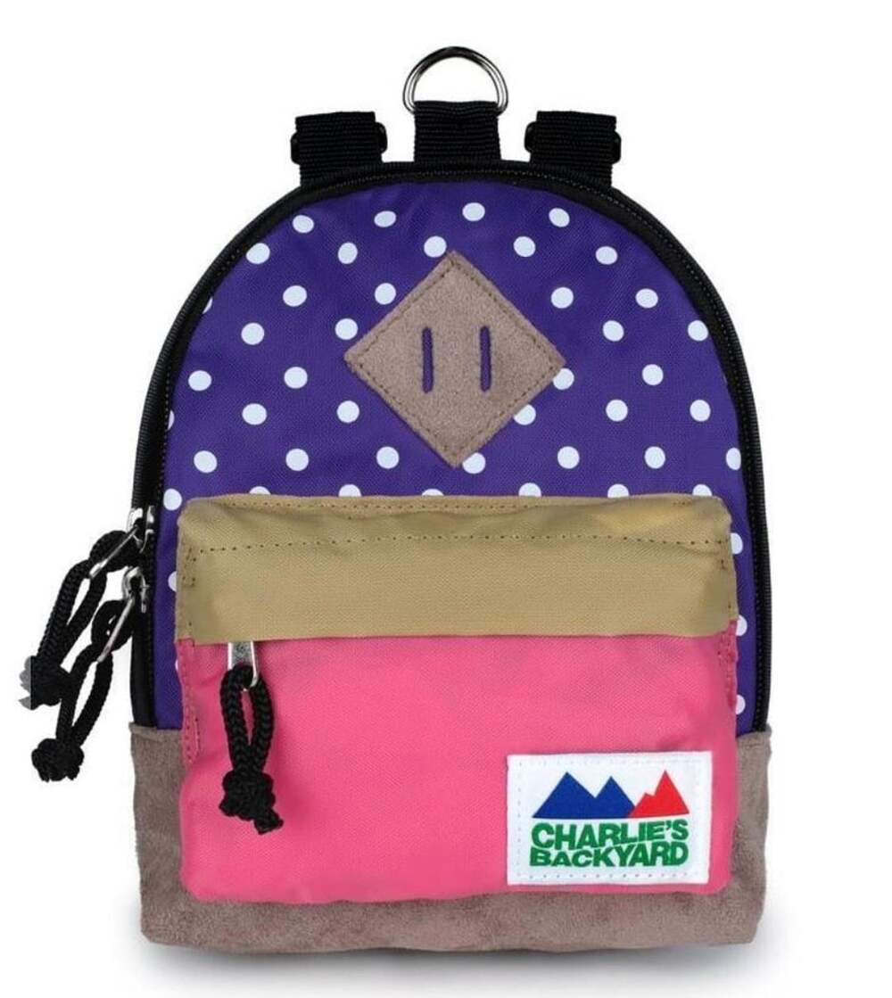 Charlie's Backyard Charlie's Bag Dog Backpack Harness